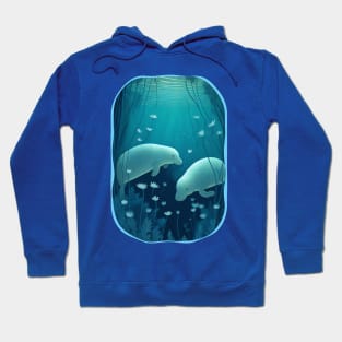 Manatee Spring Hoodie